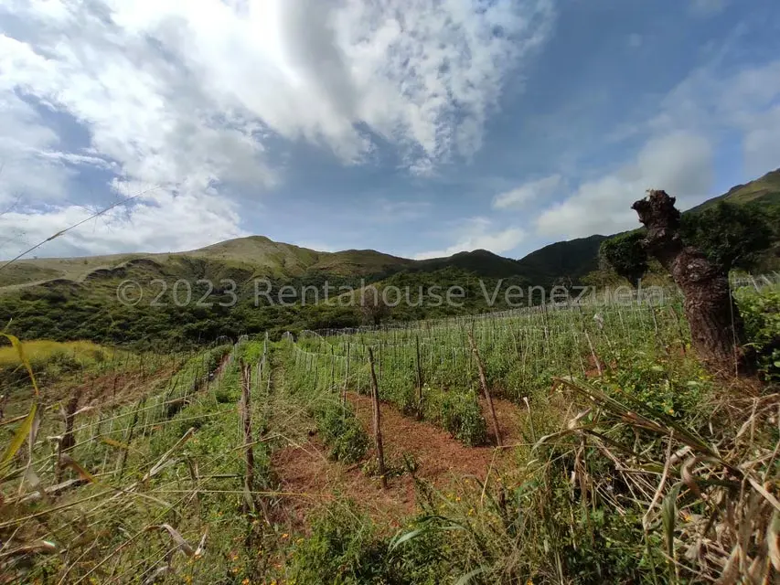 Casa (1 Nivel) en Venta en Asentamiento Campesino Santa Rosalia, Aragua - 35