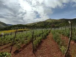 View 36