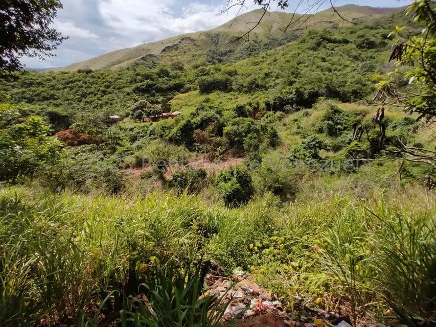 Casa (1 Nivel) en Venta en Asentamiento Campesino Santa Rosalia, Aragua - 37