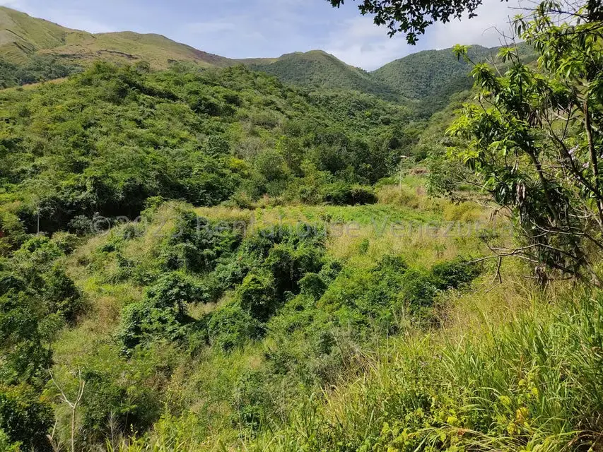 Casa (1 Nivel) en Venta en Asentamiento Campesino Santa Rosalia, Aragua - 38