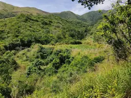 View 38