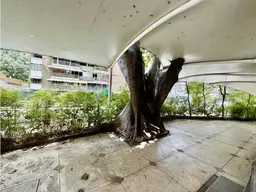 Vista 9