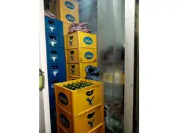 Vista 15