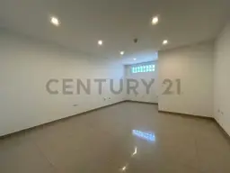 Vista 4