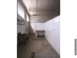 Vista 13