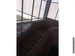 Vista 19