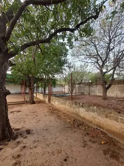 View 5