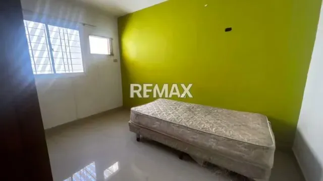 Los mangos - 3