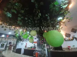 Vista 12