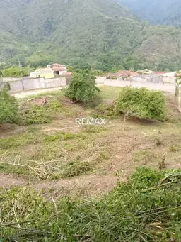 View 3