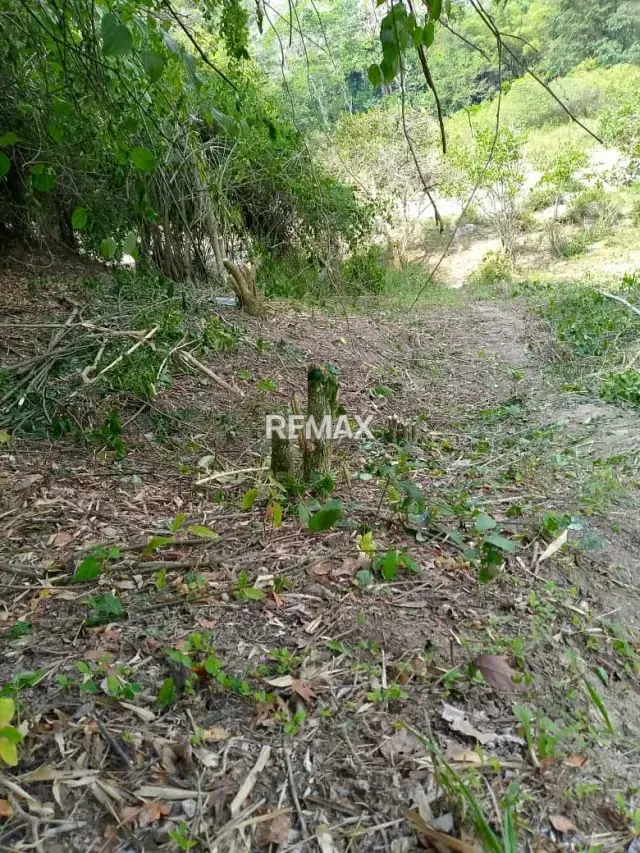 Lote de terreno en venta en el Hatico-Trapiche vía Mendoza Fría, - 4