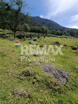 Vista 1