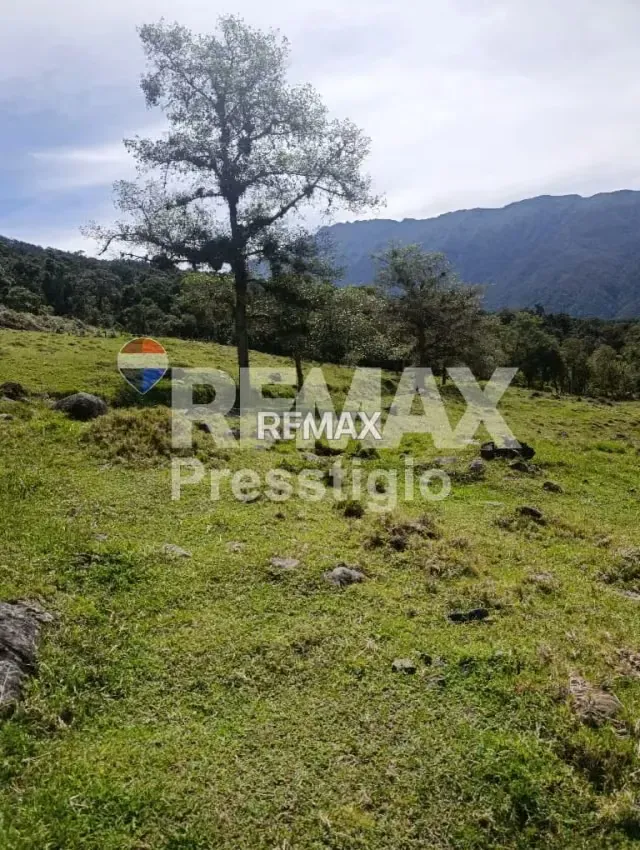 Terreno en Venta - 11