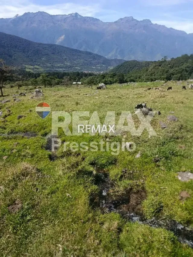 Terreno en Venta - 13