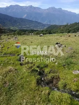 Vista 13