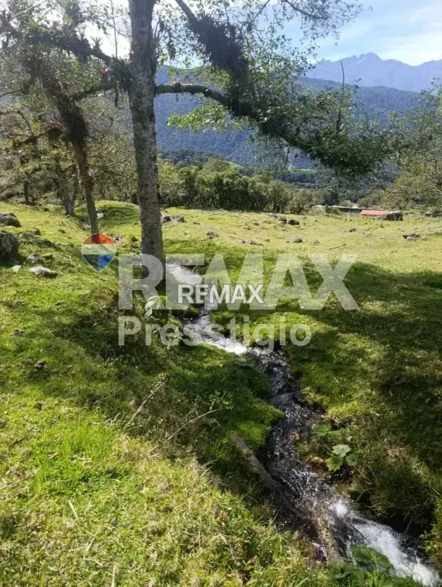 Terreno en Venta - 14