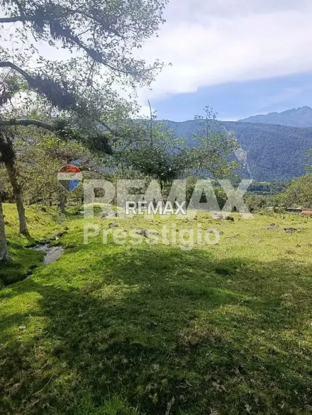 Terreno en Venta - 15