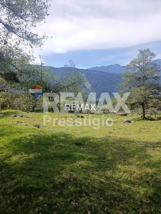 Terreno en Venta - 16