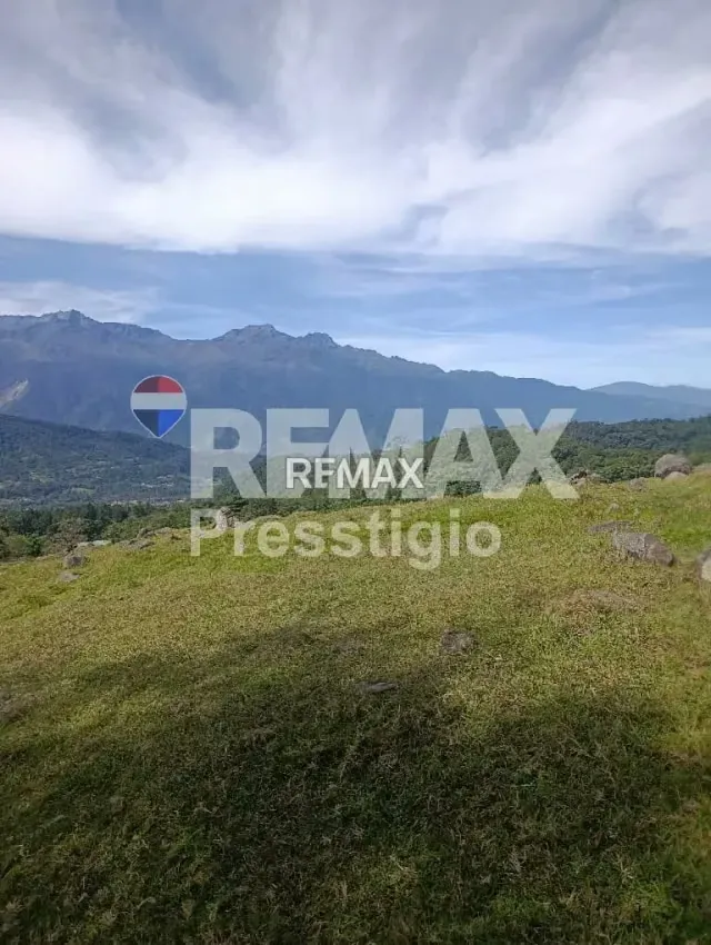 Terreno en Venta - 17