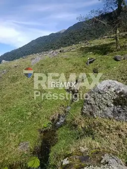 Vista 19
