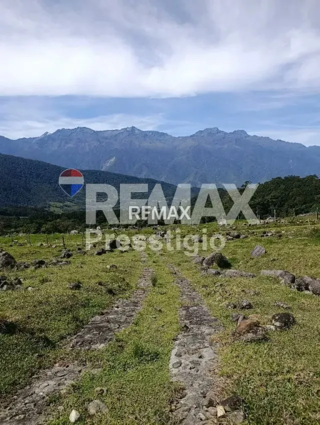 Terreno en Venta - 3