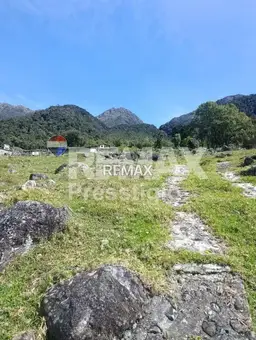 Vista 4