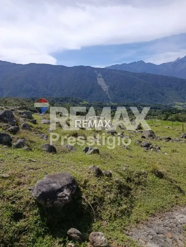 Terreno en Venta - 5