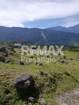 Vista 5