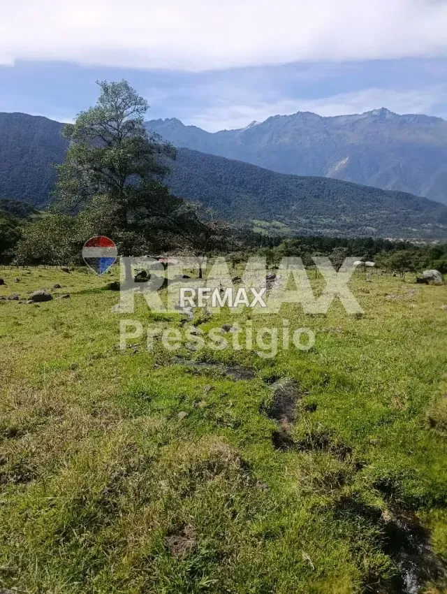 Terreno en Venta - 7
