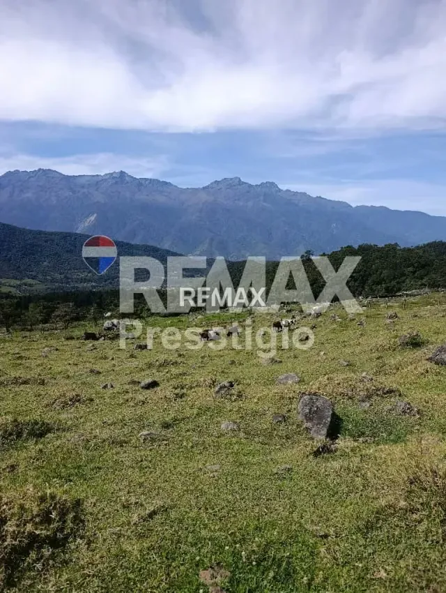 Terreno en Venta - 8