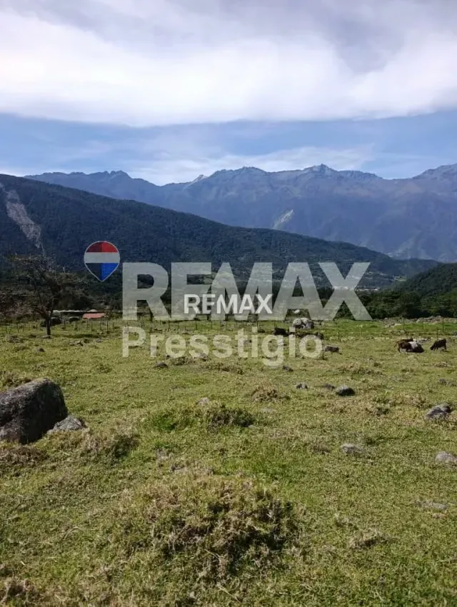 Terreno en Venta - 9