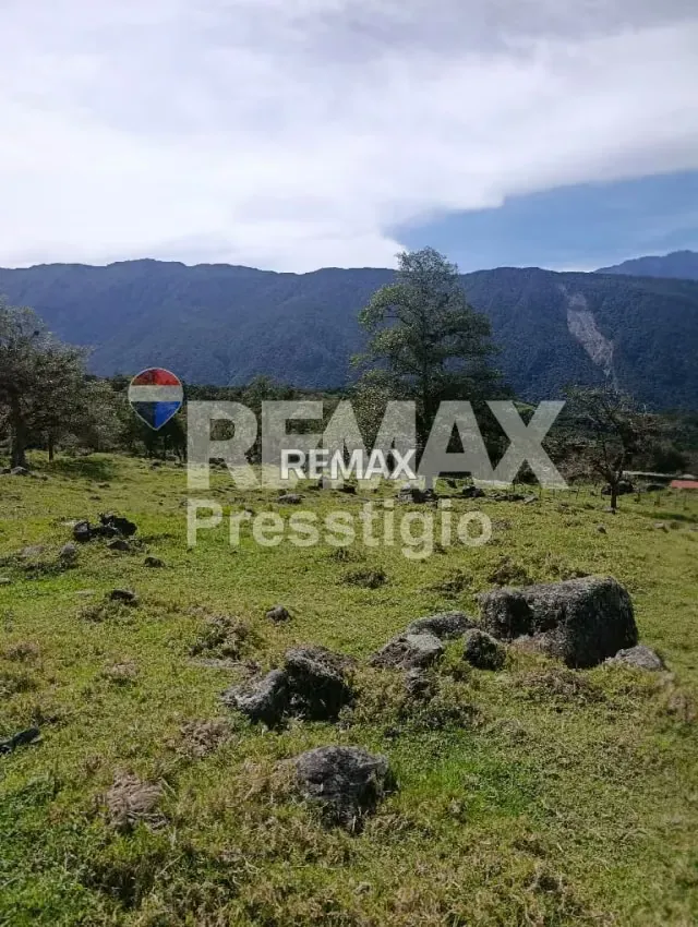 Terreno en Venta - 10