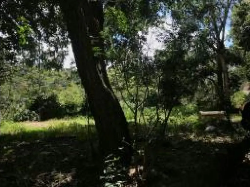 Terreno en Venta10848 m2 Santa Inés - 3