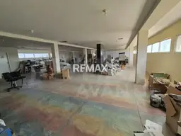 Vista 5