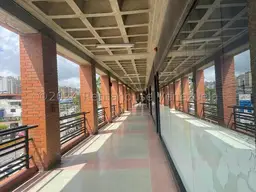 Vista 18