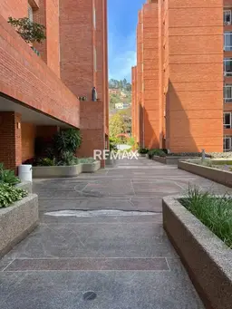Vista 16