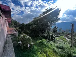 View 11