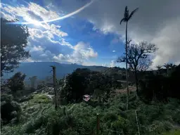View 12