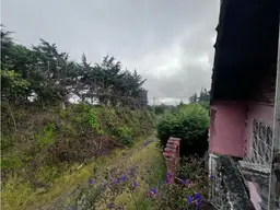 View 29