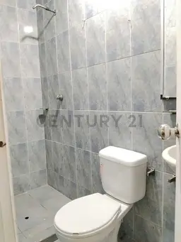 Vista 14