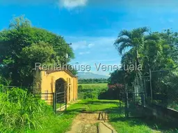 Vista 1