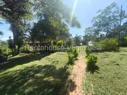 Vista 18