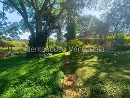 Vista 23