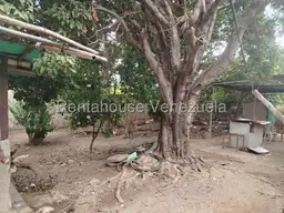 View 19