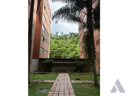 View 6