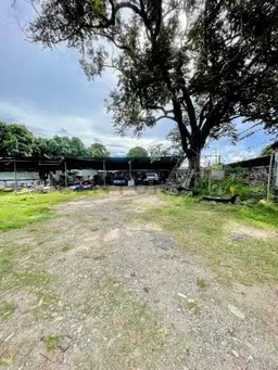 View 3