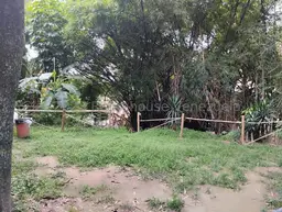 Vista 5