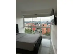 Vista 13