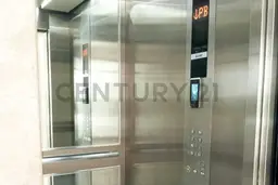 Vista 6