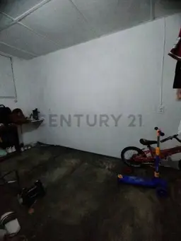 Vista 4